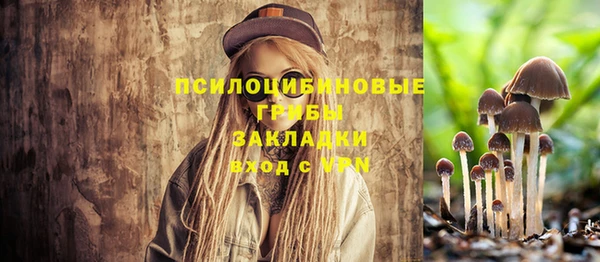 соль курить ск Алзамай