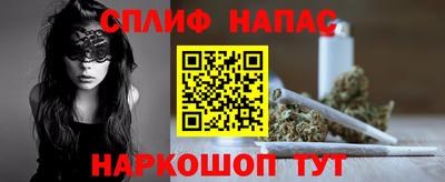 шишки Кандалакша
