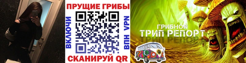 Псилоцибиновые грибы ЛСД  даркнет наркотические препараты  Кулебаки 