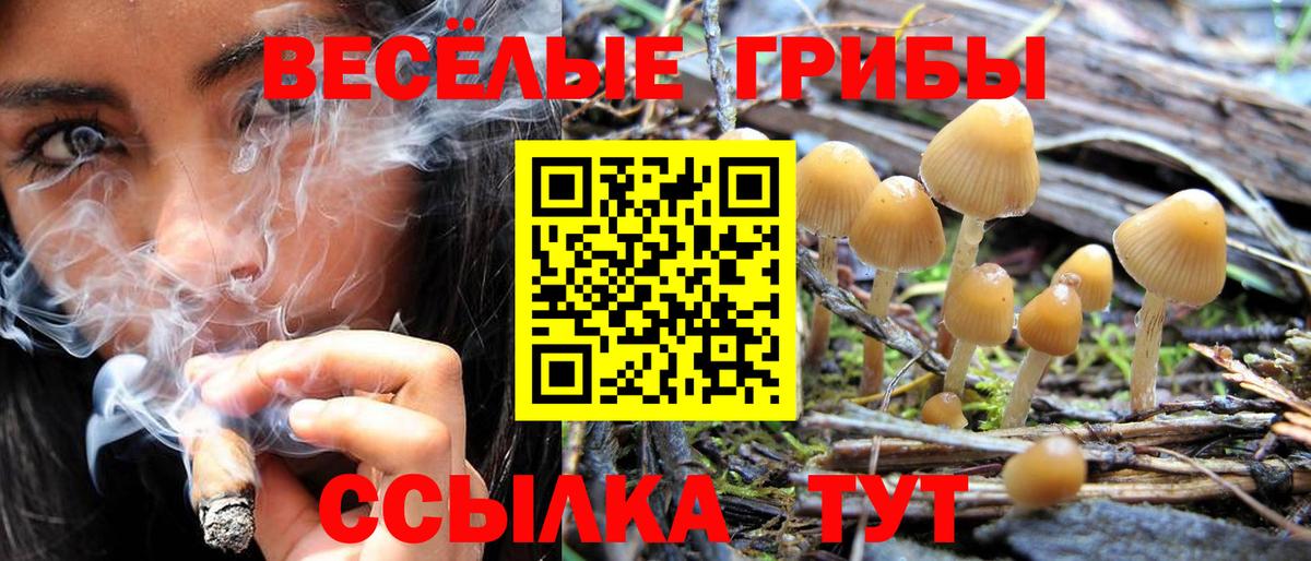 Псилоцибиновые грибы Psilocybine cubensis Кулебаки