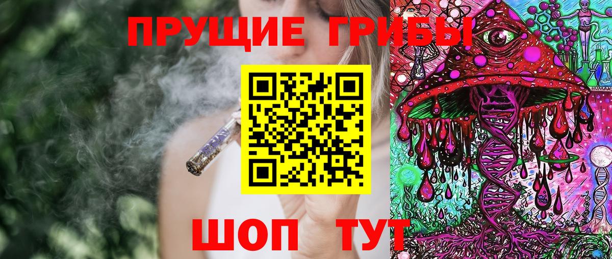 Кулебаки  Псилоцибиновые грибы Magic Shrooms  Вход с VPN 